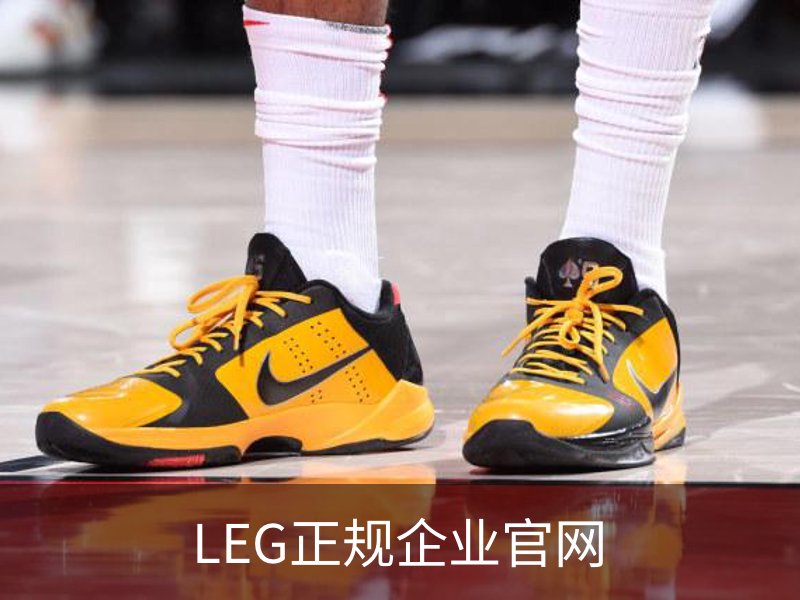 LEG正规企业官网 - 娱乐传媒科技安全登录