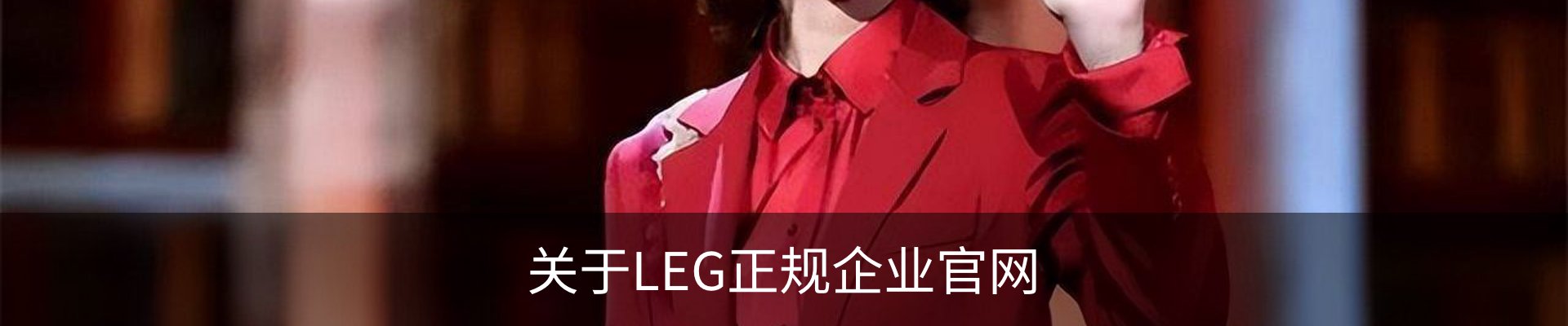 关于LEG正规企业官网
