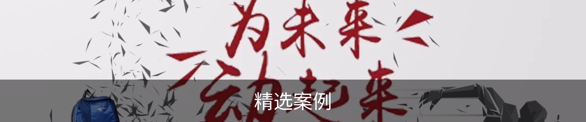 精选案例